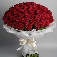 Букет 101 Красная роза Блэк Мэджик в Николаевске-на-Амуре