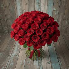 Букет 55 Красных роз Фридом #REPLACE_PRED# Николаевске-на-Амуре