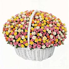 Премиум букет из: Розы в Николаевске-на-Амуре