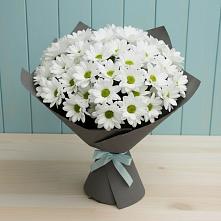 Букет цветов из:  Хризантемы в Николаевске-на-Амуре