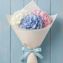 Букет цветов из:  Гортензия в Николаевске-на-Амуре