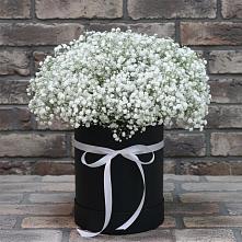 Цветочная композиция из Гипсофила в шляпной коробке в Николаевске-на-Амуре