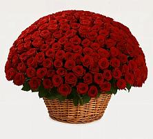 Премиум букет из: Розы в Николаевске-на-Амуре